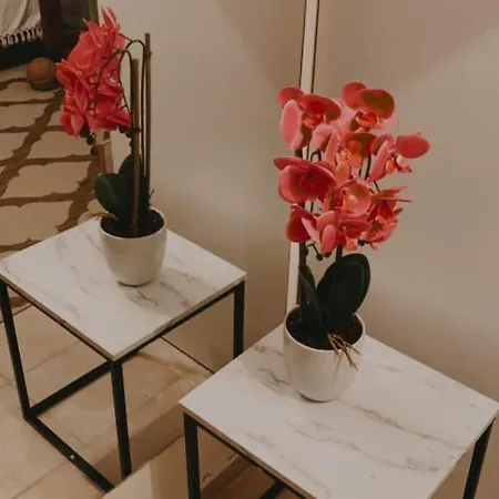Boutique בית נופש אפיטוס